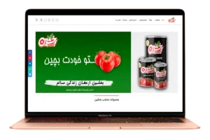 طراحی سایت شرکتی بخشین |اکادمی ساسان درویش پور